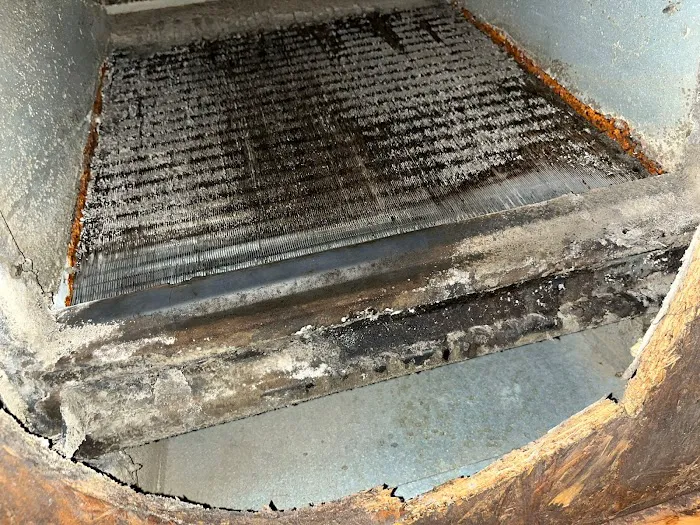 Mold removal Picture 4