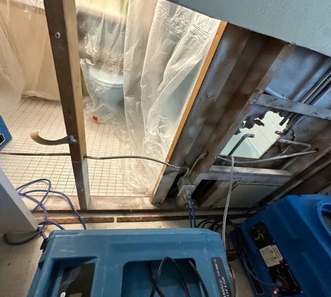 Mold and Environmental Picture 9