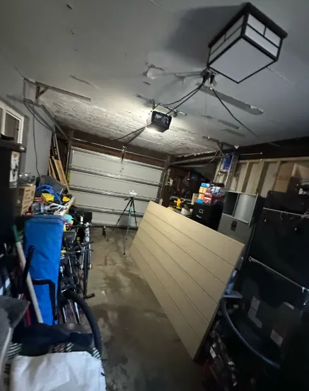 Mold and Environmental Picture 10