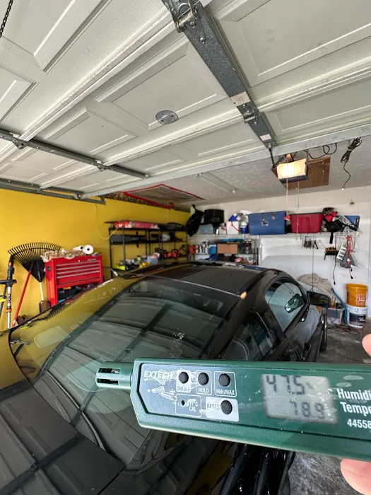 Mold and Environmental Picture 3