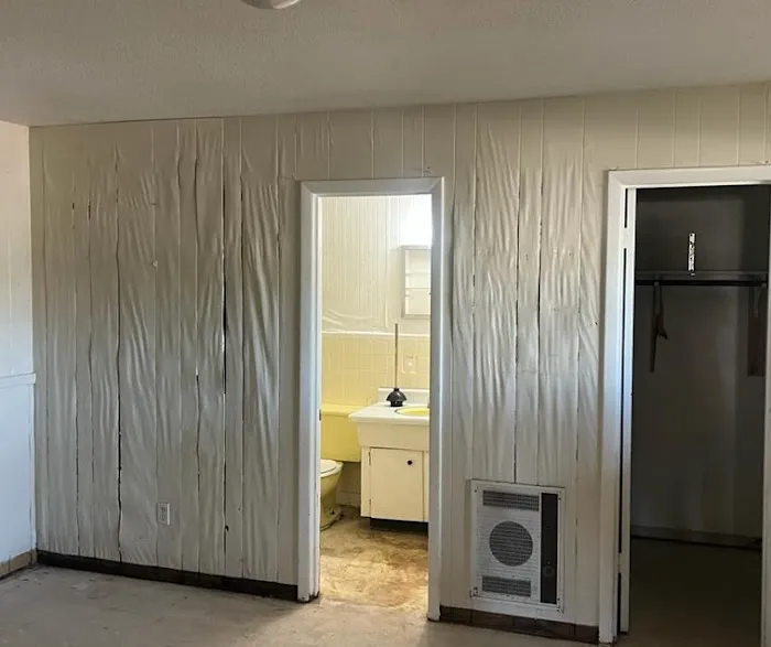 Mold and Environmental Picture 6