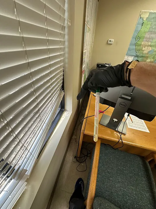 Mold and Environmental Picture 8