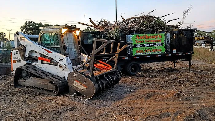 LEE'S Mold Removal & Mold Remediation Services Co, FL Picture 1