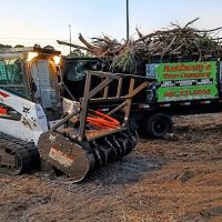 LEE'S Mold Removal & Mold Remediation Services Co, FL ico