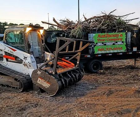 LEE'S Mold Removal & Mold Remediation Services Co, FL