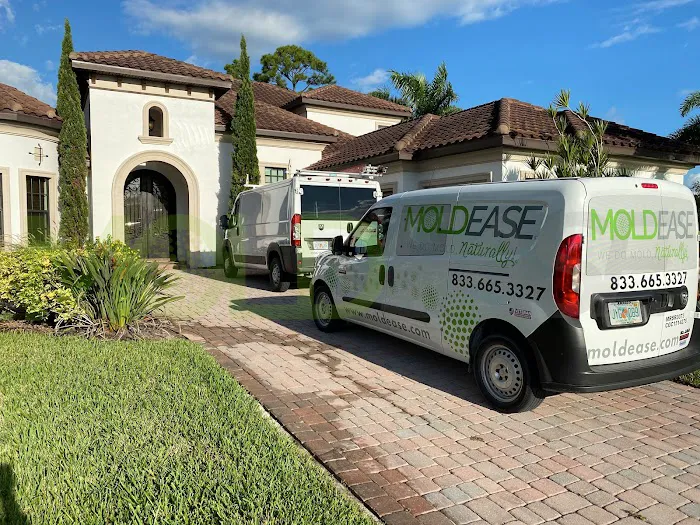 RESTOREASE Picture 5