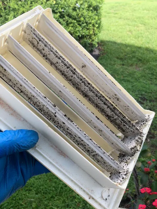 RESTOREASE Picture 4