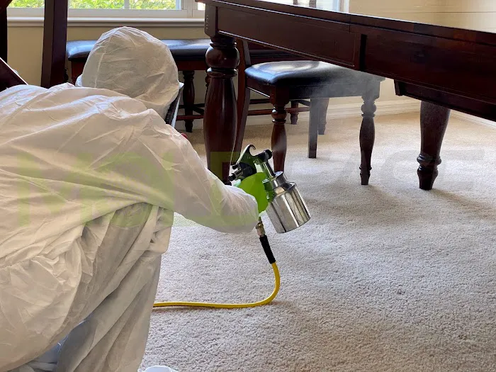 RESTOREASE Picture 8