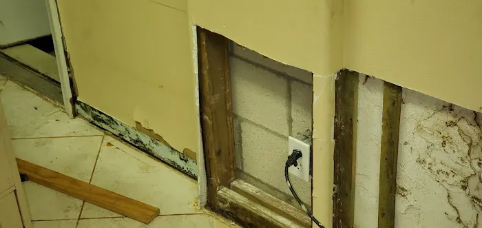 RESTOREASE Picture 7