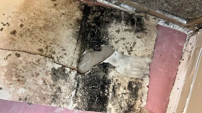 Navigate Restoration Picture 8