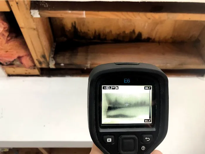 Innovative Restoration & Cleaning Picture 1