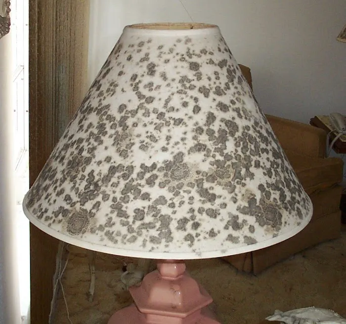 Innovative Restoration & Cleaning Picture 6