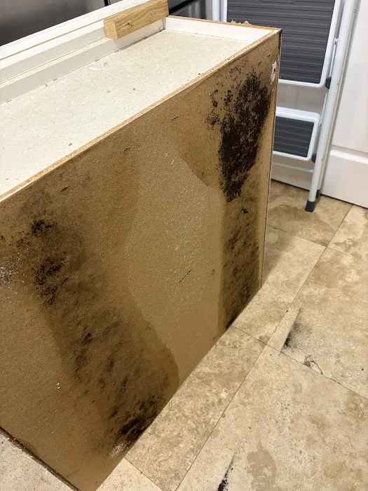 Emergency Mold Removal LLC. Picture 5