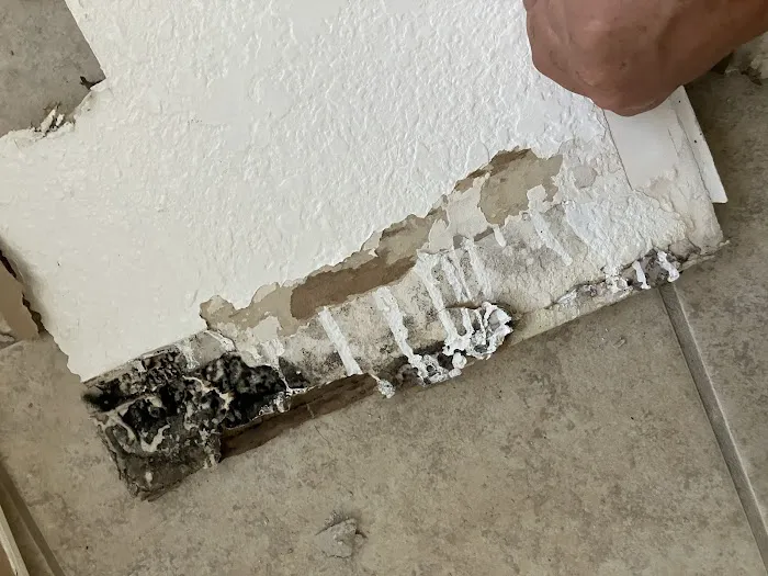 Emergency Mold Removal LLC. Picture 10