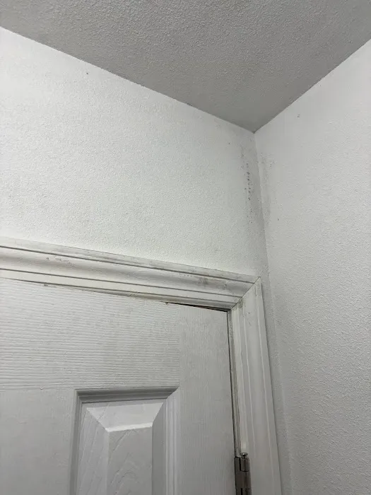 Emergency Mold Removal LLC. Picture 1