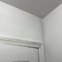 Emergency Mold Removal LLC. ico