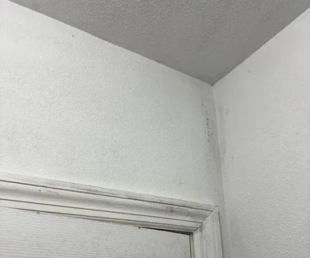 Emergency Mold Removal LLC.