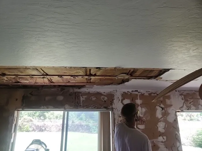 Palm Bay Mold Removal Picture 8