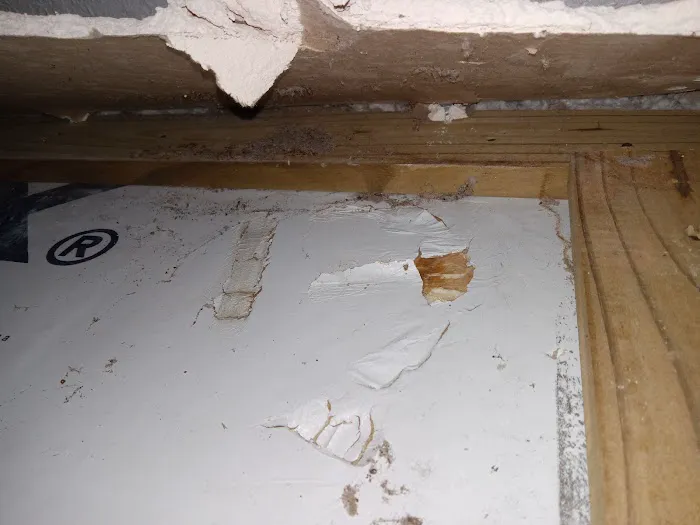 Palm Bay Mold Removal Picture 7