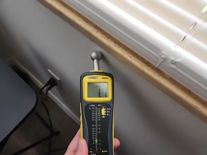 Palm Bay Mold Removal Picture 10