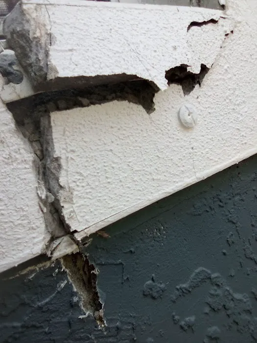 Palm Bay Mold Removal Picture 6