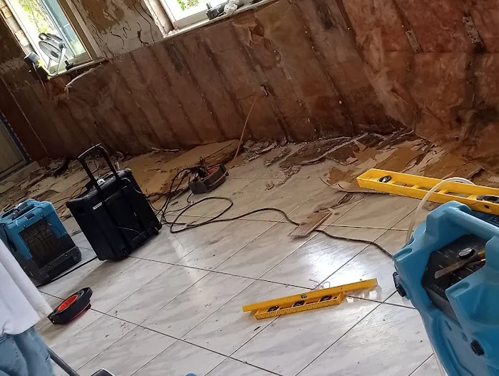 Palm Bay Mold Removal Picture 3