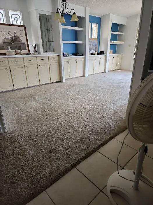 Stanley Steemer Picture 8