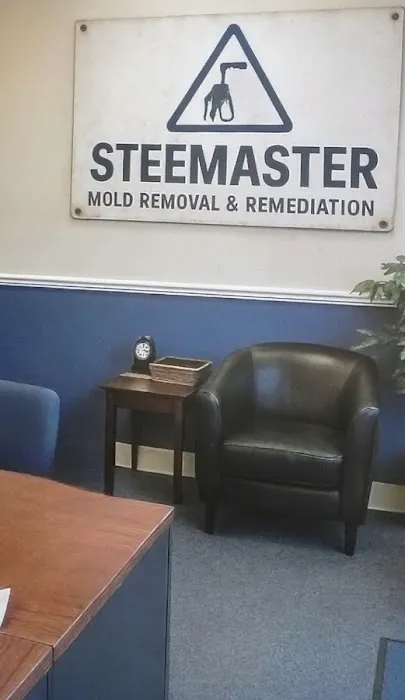 Steemaster Mold Removal & Remediation Palm Bay FL Picture 7