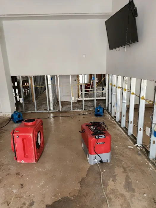 My Remediator, LLC. Picture 9