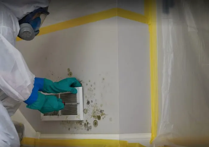 My Remediator, LLC. Picture 5