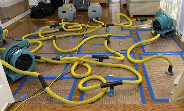 Wickham Park Mold Experts Picture 7