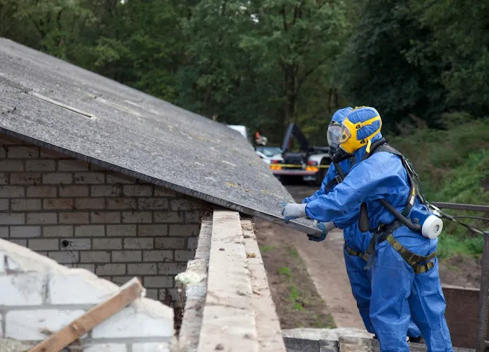 Wickham Park Mold Experts Picture 9