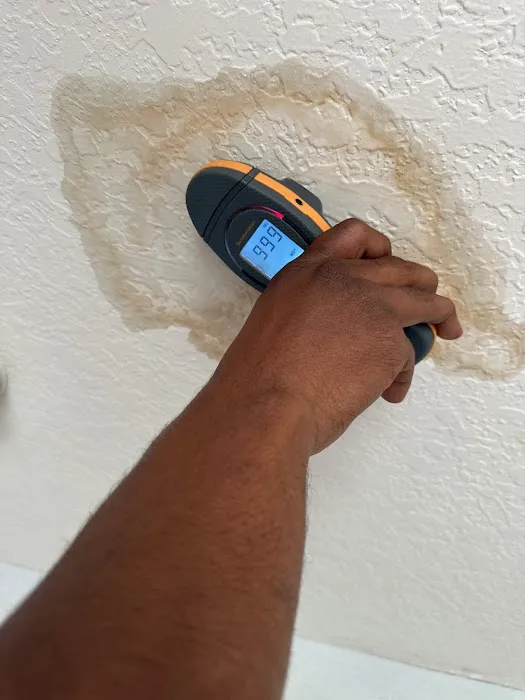 All Dry Services Picture 4