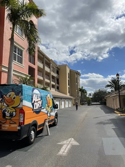 All Dry Services Picture 8