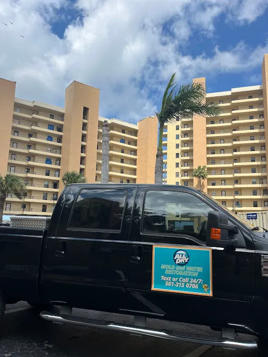 All Dry Services Picture 9