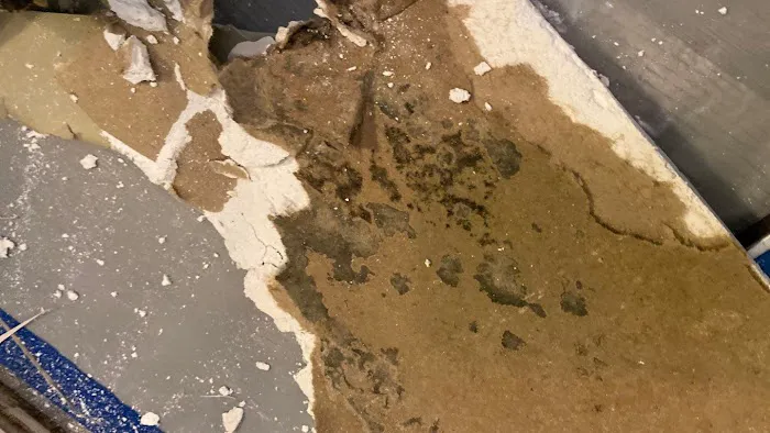 Brevard Mold Inspection & Removal Picture 4