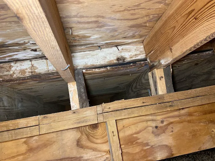 Brevard Mold Inspection & Removal Picture 5