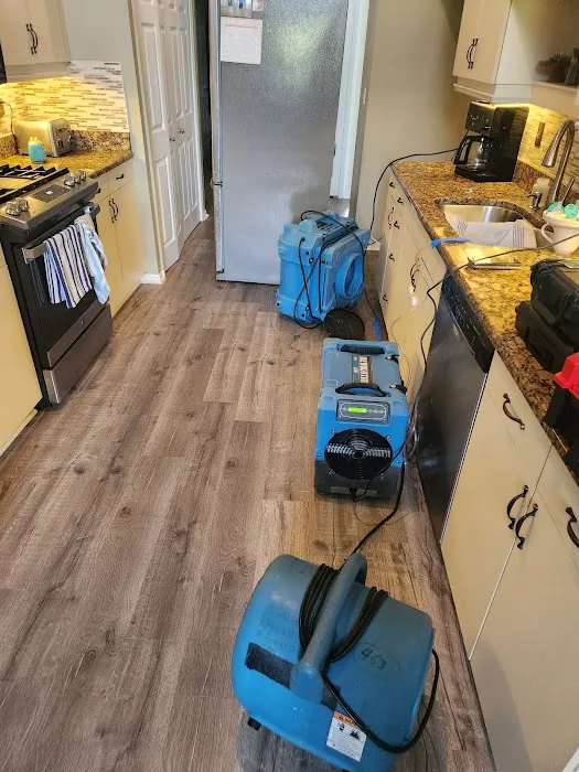 Brevard Mold Inspection & Removal Picture 2