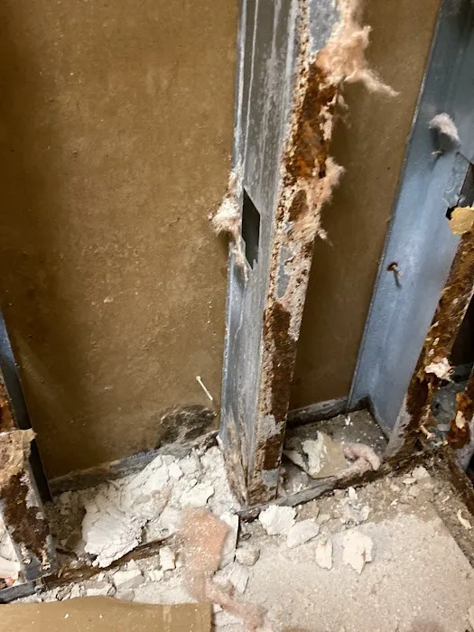 Brevard Mold Inspection & Removal Picture 10