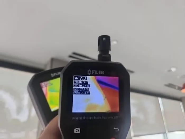 Brevard Mold Inspection & Removal Picture 3