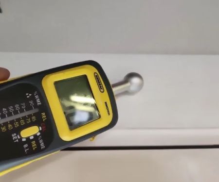 Brevard Mold Inspection & Removal