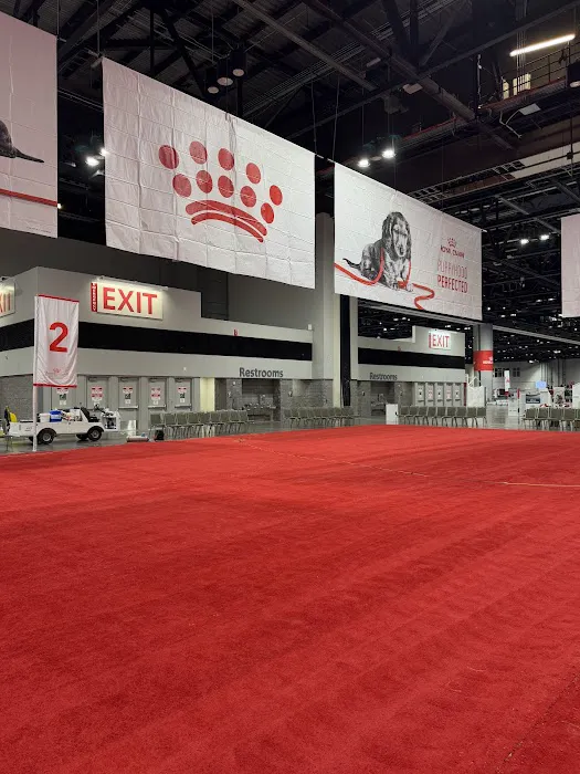 C&C Carpet Cleaning and restoration Picture 4