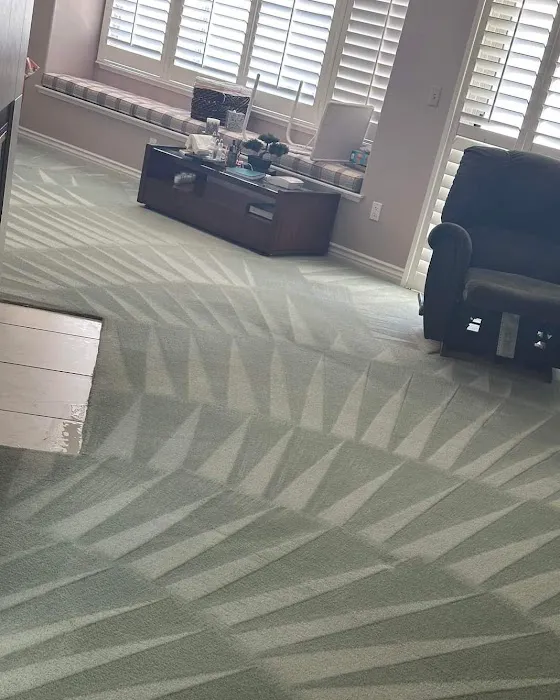 Steamboat Carpet & Tile Cleaning Picture 6