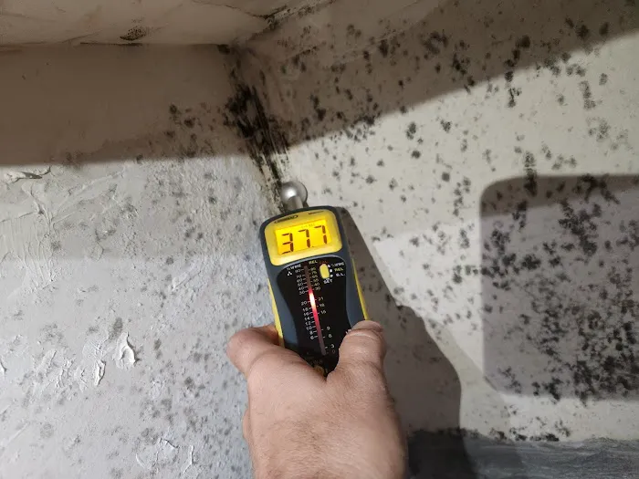 All Construction Excavation Mold AC Plumbing & Roofing USA Picture 9