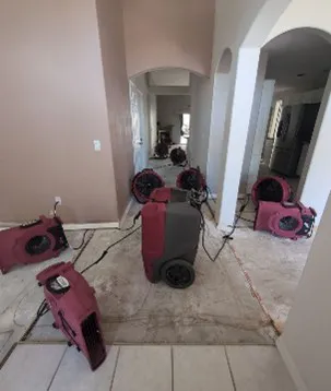 Puroclean of Melbourne Picture 5