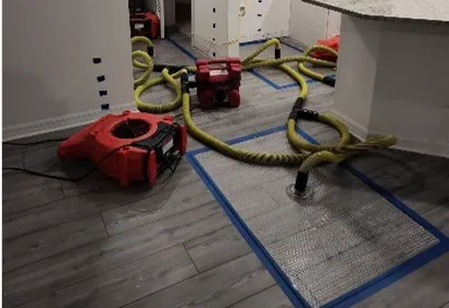 Puroclean of Melbourne Picture 9