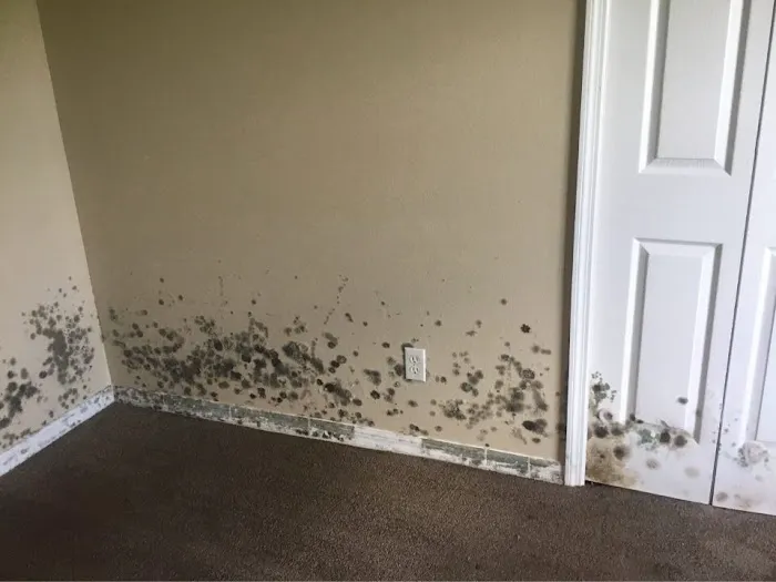 SERVPRO of South Brevard Picture 8