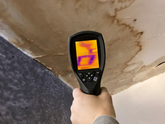 Bio Pro: Mold Inspection & Testing Picture 6