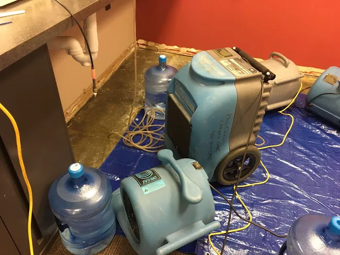 Pro clean carpet care Picture 1