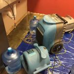 Pro clean carpet care